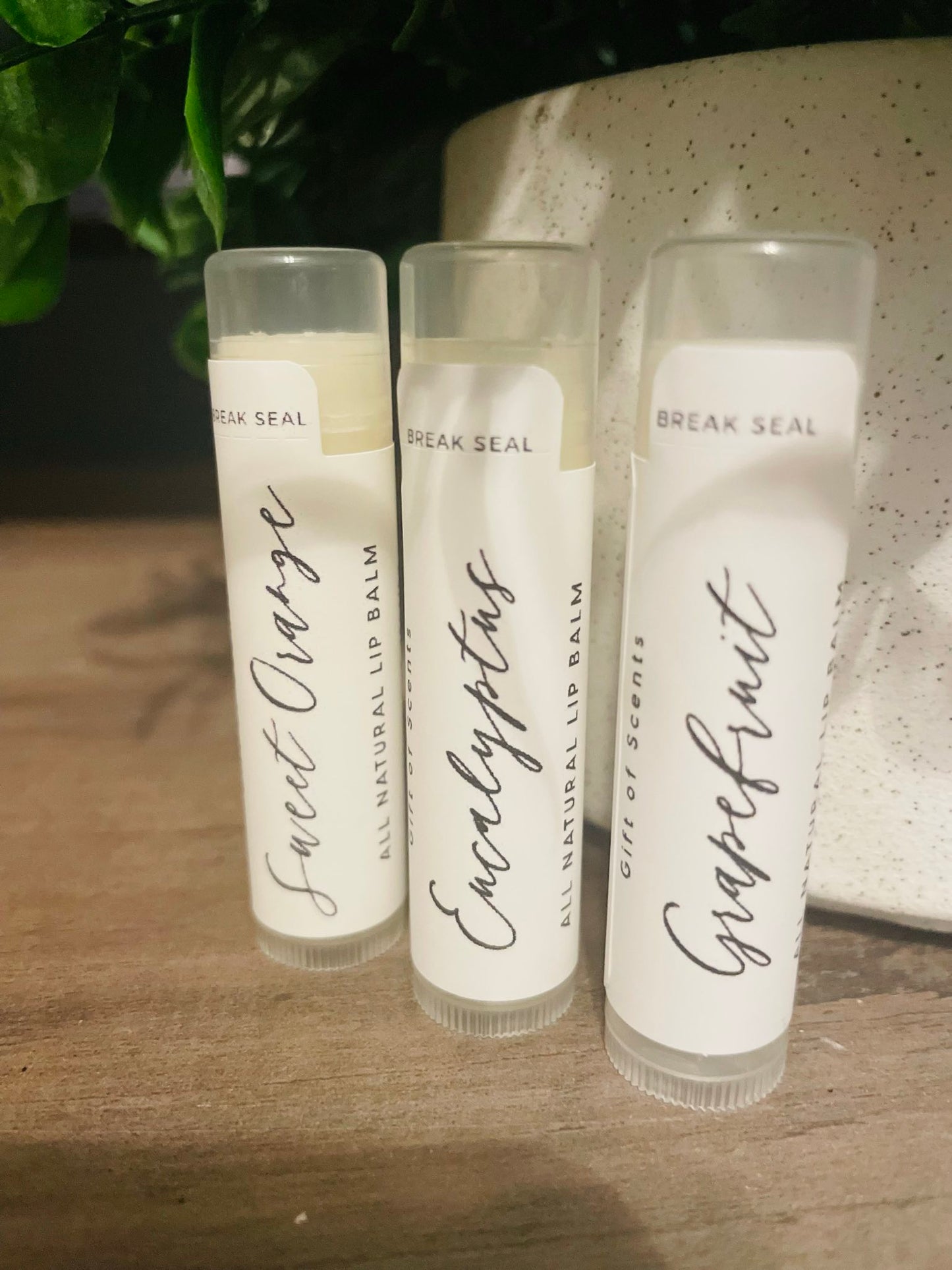 All Natural Lip Balm